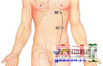 章门穴_足厥阴肝经_高斗养生网_经络穴位_针灸_艾灸_刮痧_推拿按摩