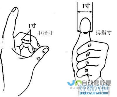 手指同身寸法（取穴比量方法示范图）_经络穴位_高斗养生网_经络穴位_针灸_艾灸_刮痧_推拿按摩