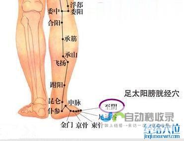 至阴穴_足太阳膀胱经_高斗养生网_经络穴位_针灸_艾灸_刮痧_推拿按摩