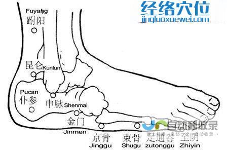 足通谷穴_足太阳膀胱经_高斗养生网_经络穴位_针灸_艾灸_刮痧_推拿按摩