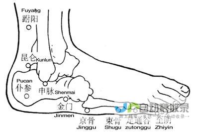 _足太阳膀胱经_高斗养生网_经络穴位_针灸_艾灸_刮痧_推拿按摩