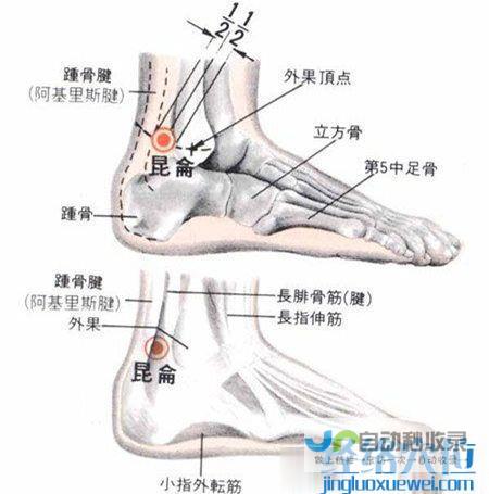 _足太阳膀胱经_高斗养生网_经络穴位_针灸_艾灸_刮痧_推拿按摩