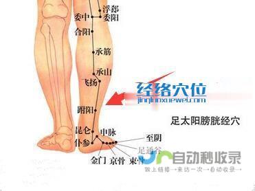 _足太阳膀胱经_高斗养生网_经络穴位_针灸_艾灸_刮痧_推拿按摩