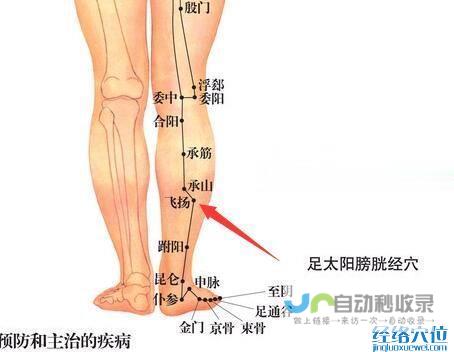 _足太阳膀胱经_高斗养生网_经络穴位_针灸_艾灸_刮痧_推拿按摩