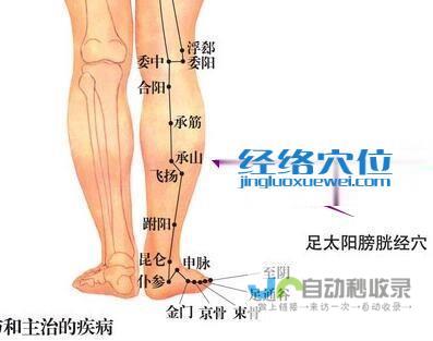 _足太阳膀胱经_高斗养生网_经络穴位_针灸_艾灸_刮痧_推拿按摩