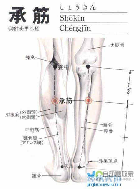 _足太阳膀胱经_高斗养生网_经络穴位_针灸_艾灸_刮痧_推拿按摩