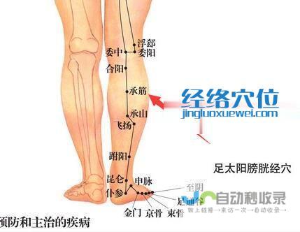 _足太阳膀胱经_高斗养生网_经络穴位_针灸_艾灸_刮痧_推拿按摩