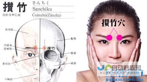 _足太阳膀胱经_高斗养生网_经络穴位_针灸_艾灸_刮痧_推拿按摩