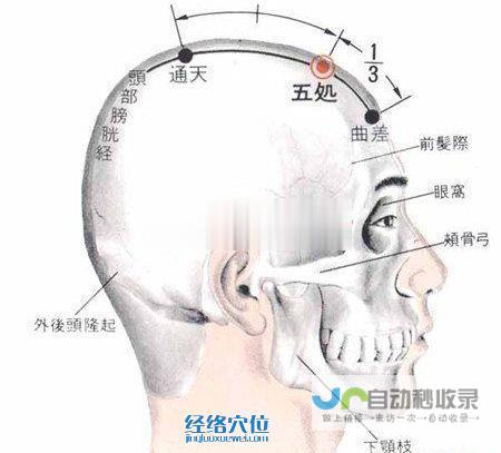 _足太阳膀胱经_高斗养生网_经络穴位_针灸_艾灸_刮痧_推拿按摩