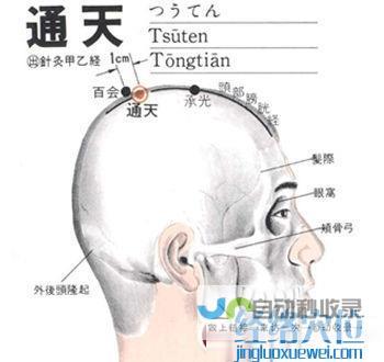 _足太阳膀胱经_高斗养生网_经络穴位_针灸_艾灸_刮痧_推拿按摩