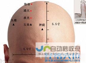 _足太阳膀胱经_高斗养生网_经络穴位_针灸_艾灸_刮痧_推拿按摩