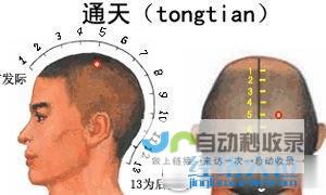 _足太阳膀胱经_高斗养生网_经络穴位_针灸_艾灸_刮痧_推拿按摩