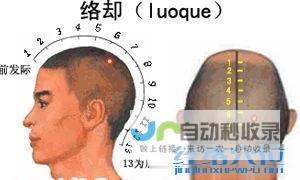 _足太阳膀胱经_高斗养生网_经络穴位_针灸_艾灸_刮痧_推拿按摩