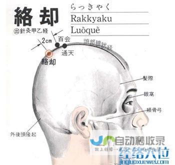 _足太阳膀胱经_高斗养生网_经络穴位_针灸_艾灸_刮痧_推拿按摩