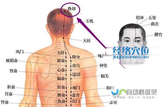 _足太阳膀胱经_高斗养生网_经络穴位_针灸_艾灸_刮痧_推拿按摩