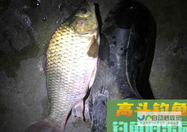 夜光漂该如何调漂？这3种方法简单粗暴_调漂技巧_高斗钓鱼