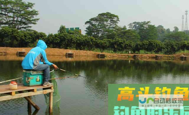 夏季钓大水域，天气变热，钓法也要随之改变_四季钓鱼_高斗钓鱼