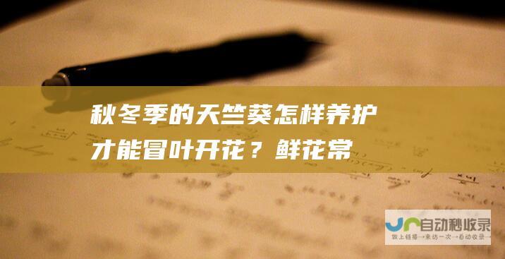 秋冬季的天竺葵怎样养护才能冒叶开花？_鲜花常识_高斗网